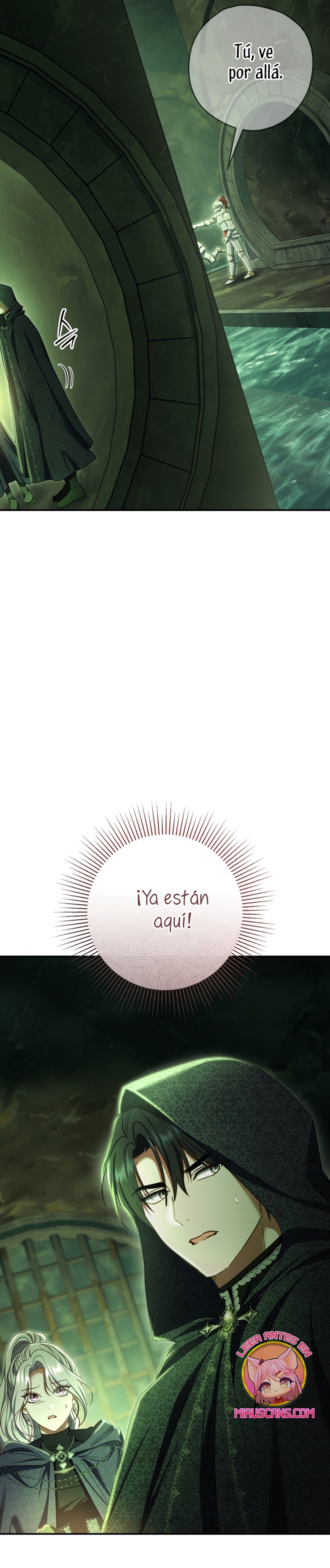 La pareja del villano es demasiado perfecta Capítulo 84 - Página 13