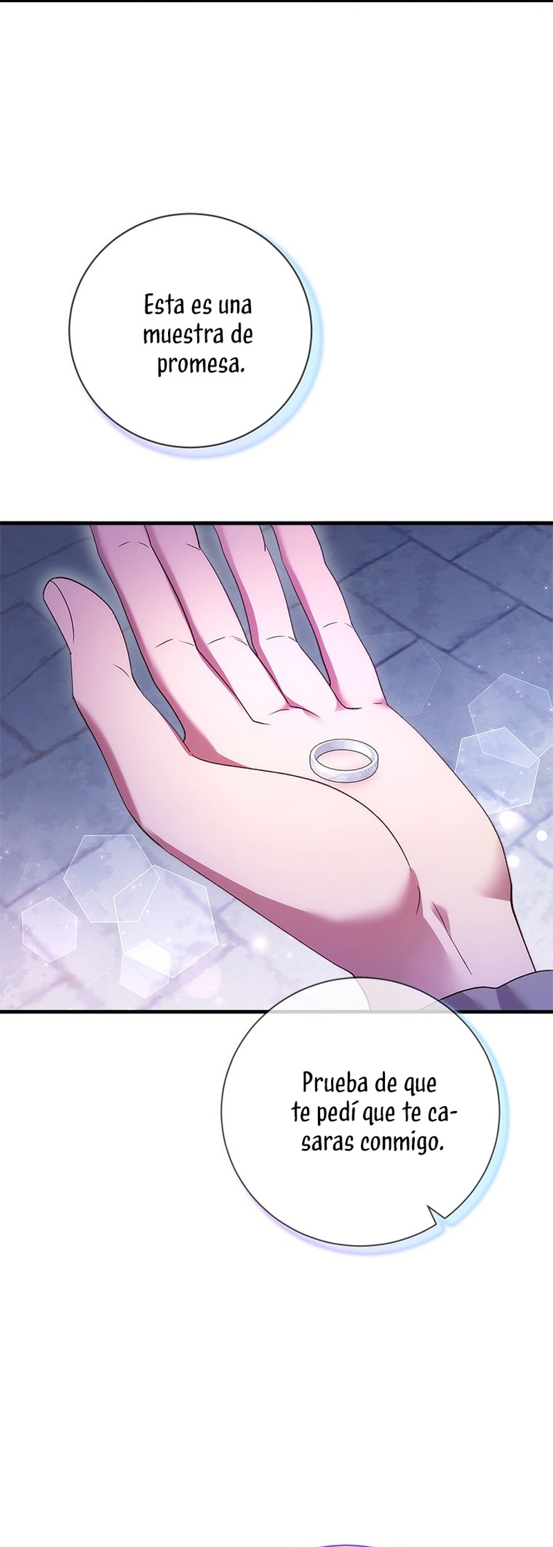 Le robé la castidad al tirano Capítulo 48 - Página 26