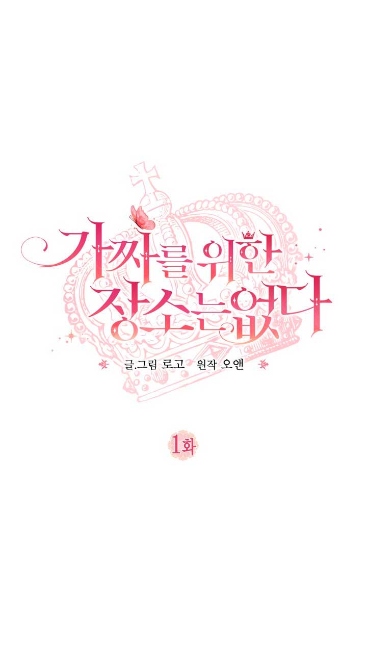 No hay lugar para las falsificaciones Capítulo 1 - Página 14