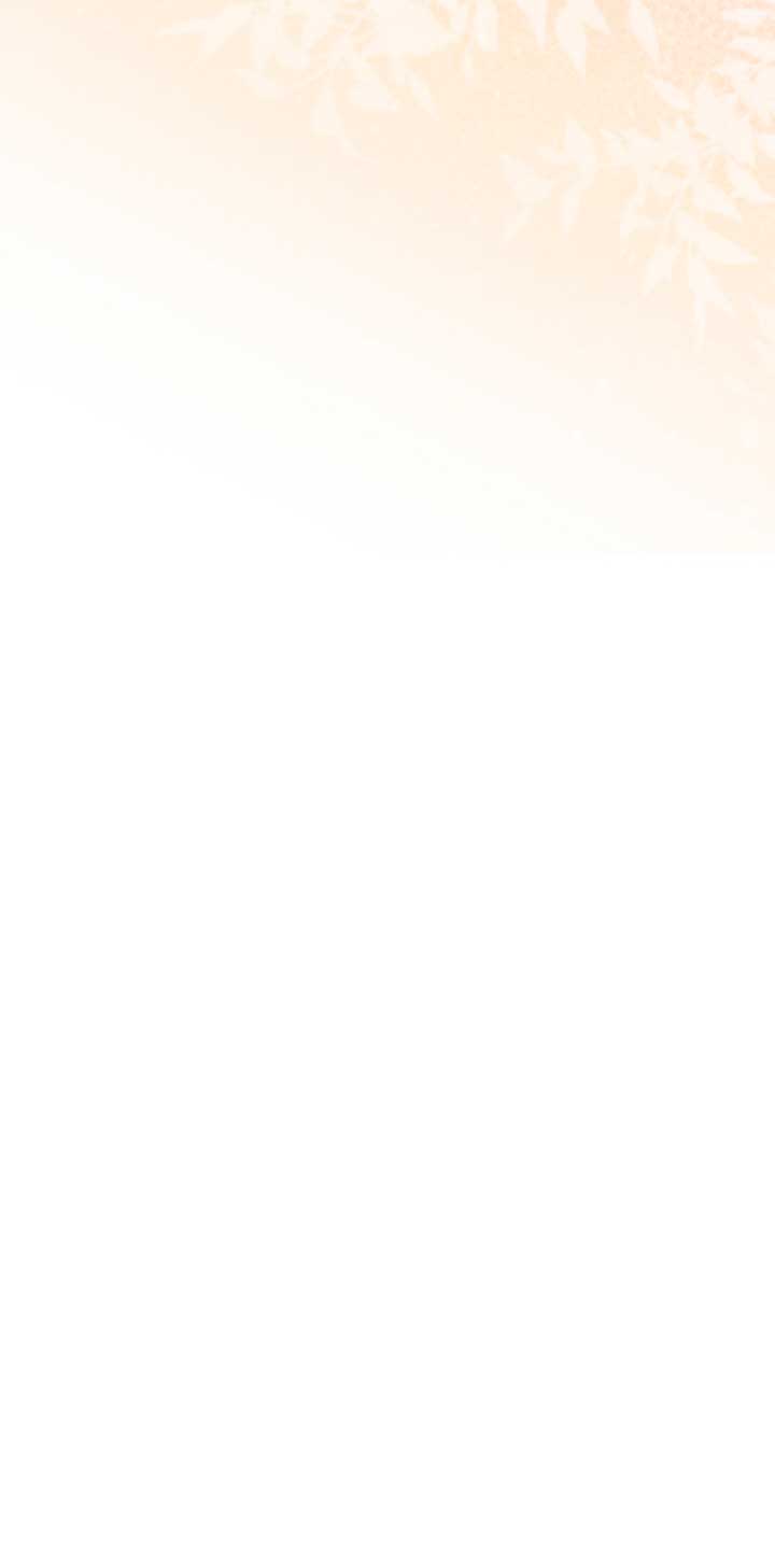 No hay lugar para las falsificaciones Capítulo 11 - Página 33