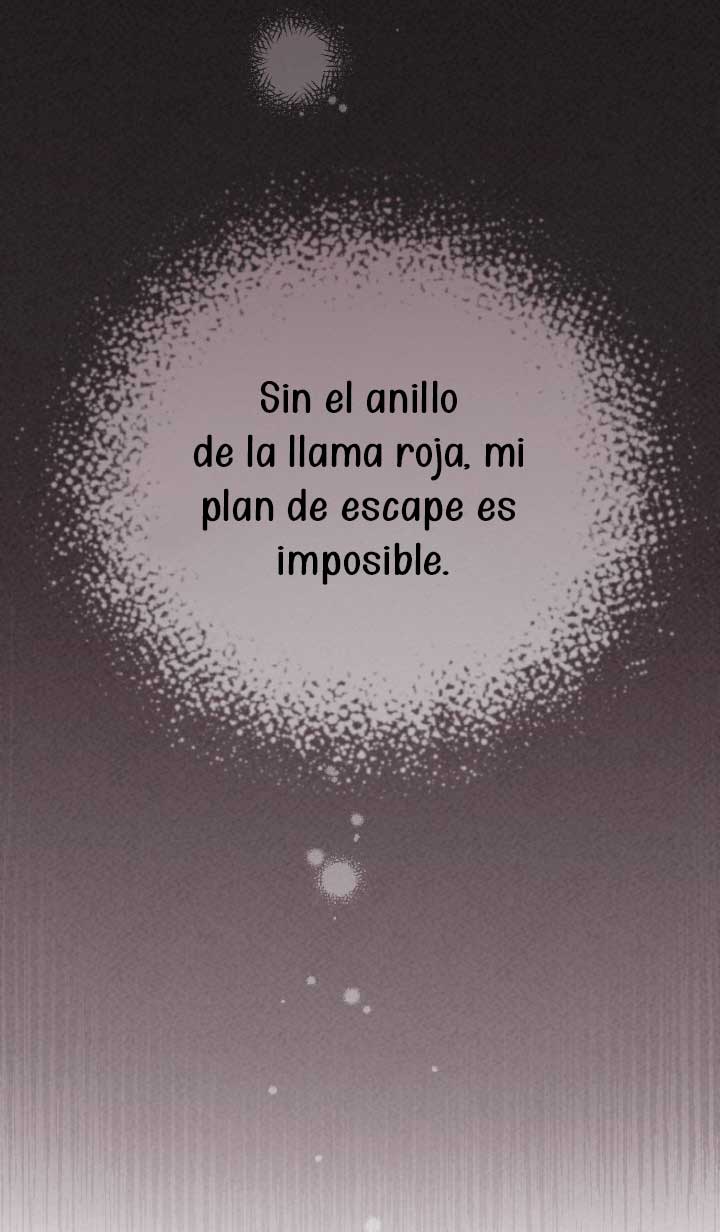No hay lugar para las falsificaciones Capítulo 13 - Página 62