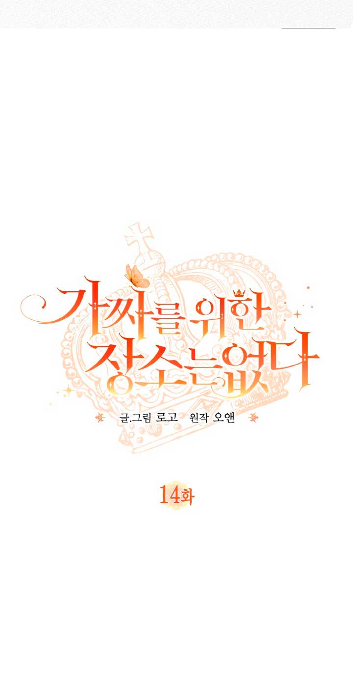 No hay lugar para las falsificaciones Capítulo 14 - Página 9