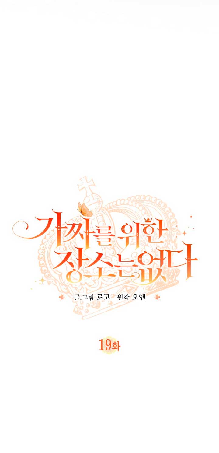 No hay lugar para las falsificaciones Capítulo 19 - Página 14