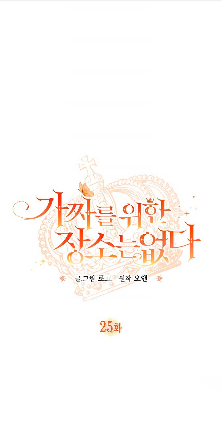 No hay lugar para las falsificaciones Capítulo 25 - Página 3