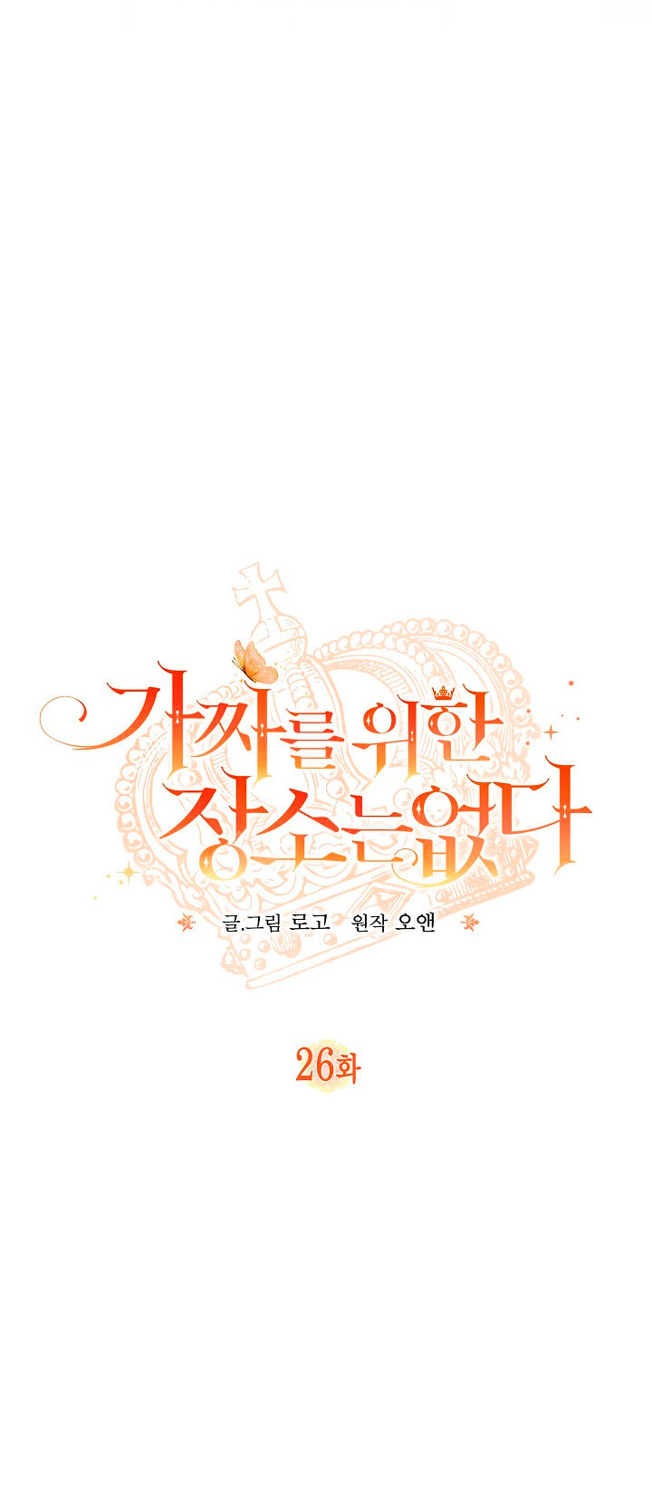 No hay lugar para las falsificaciones Capítulo 26 - Página 12