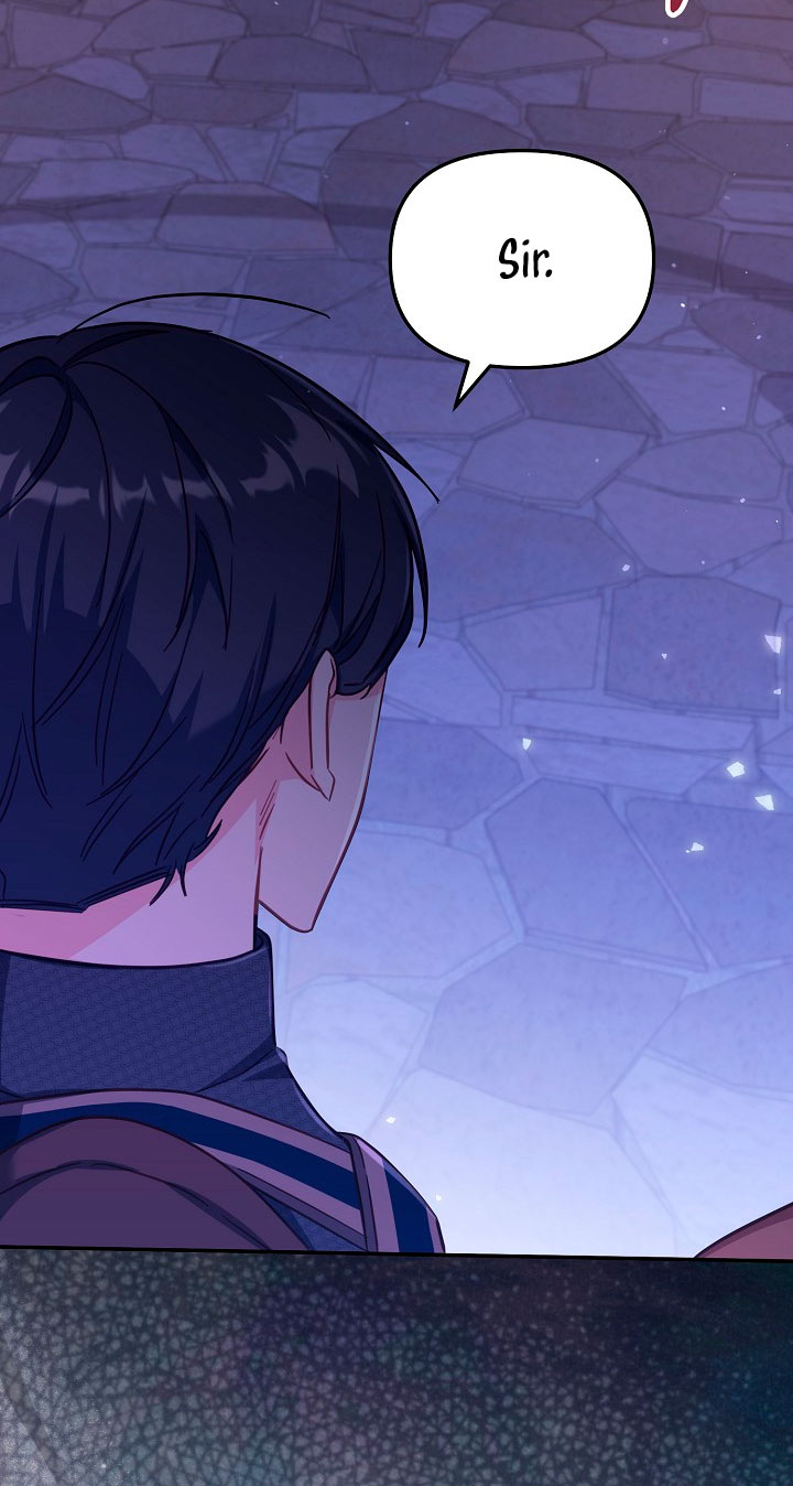 No hay lugar para las falsificaciones Capítulo 26 - Página 48