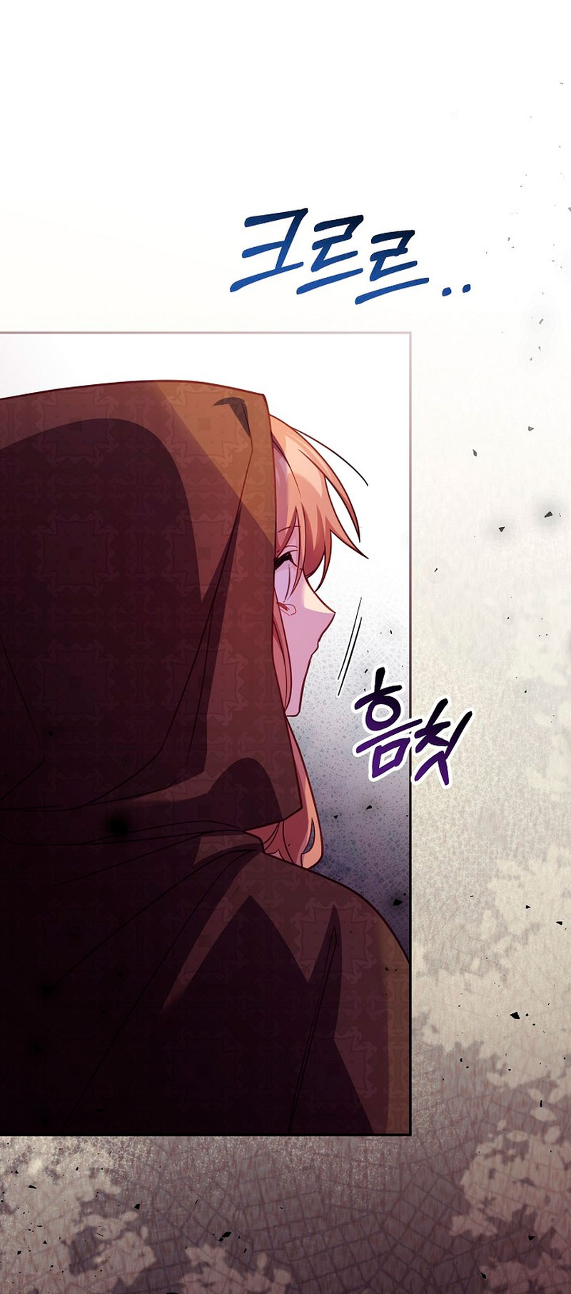 No hay lugar para las falsificaciones Capítulo 35 - Página 52