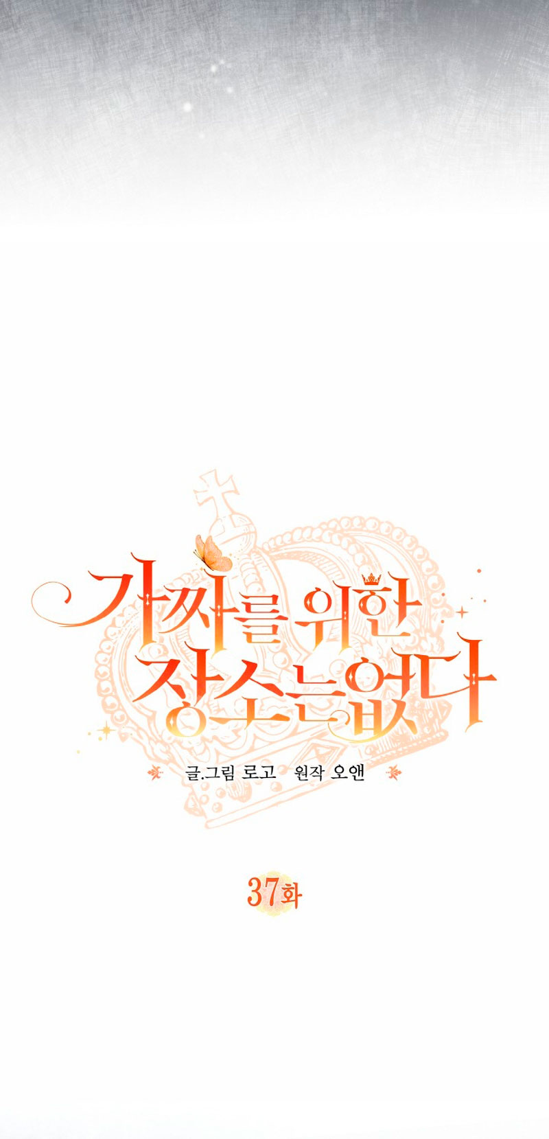 No hay lugar para las falsificaciones Capítulo 37 - Página 9