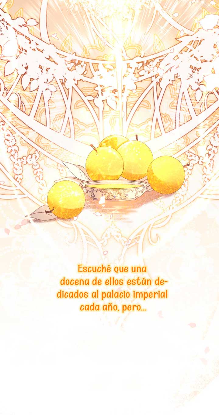 No hay lugar para las falsificaciones Capítulo 5 - Página 10