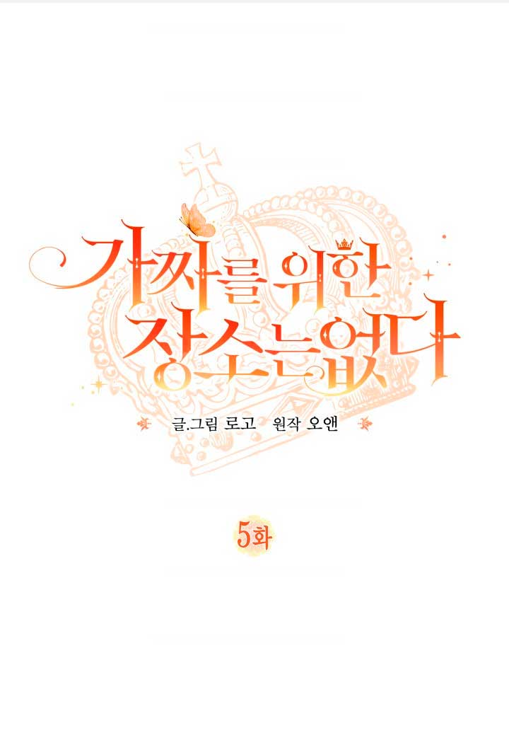 No hay lugar para las falsificaciones Capítulo 5 - Página 3