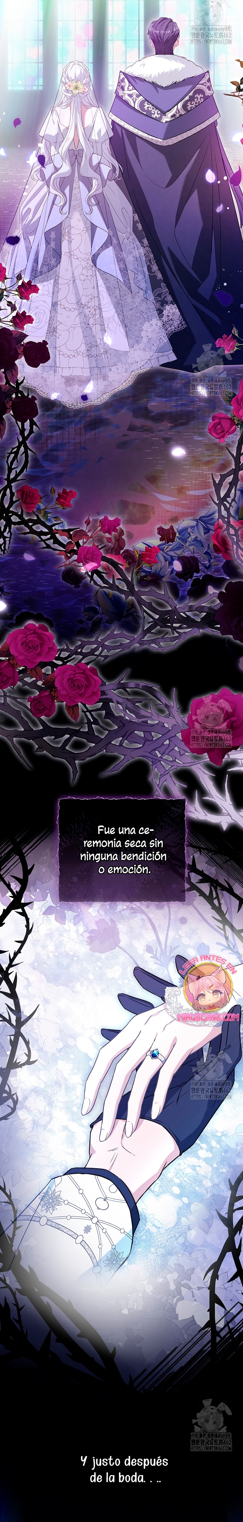 Cariño, ¿por qué no podemos divorciarnos? Capítulo 1 - Página 23