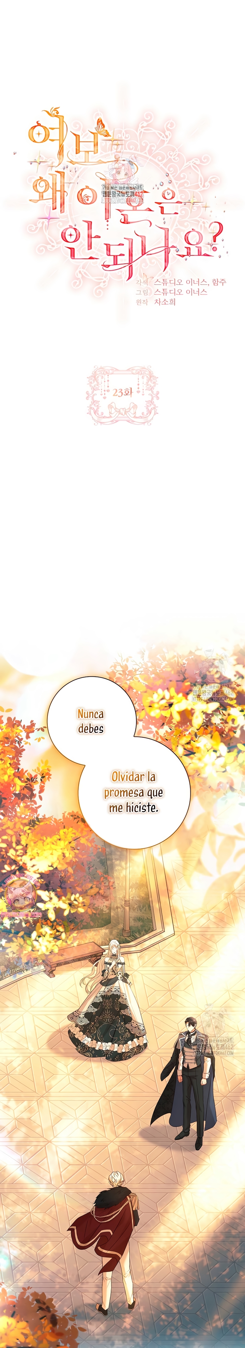 Cariño, ¿por qué no podemos divorciarnos? Capítulo 23 - Página 3