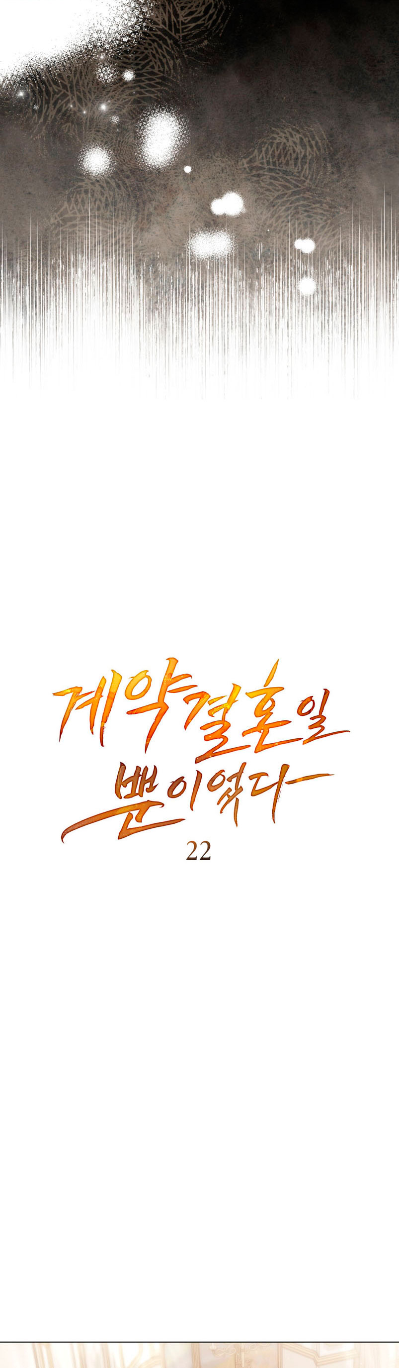 Fue solo un matrimonio por contrato Capítulo 22 - Página 10