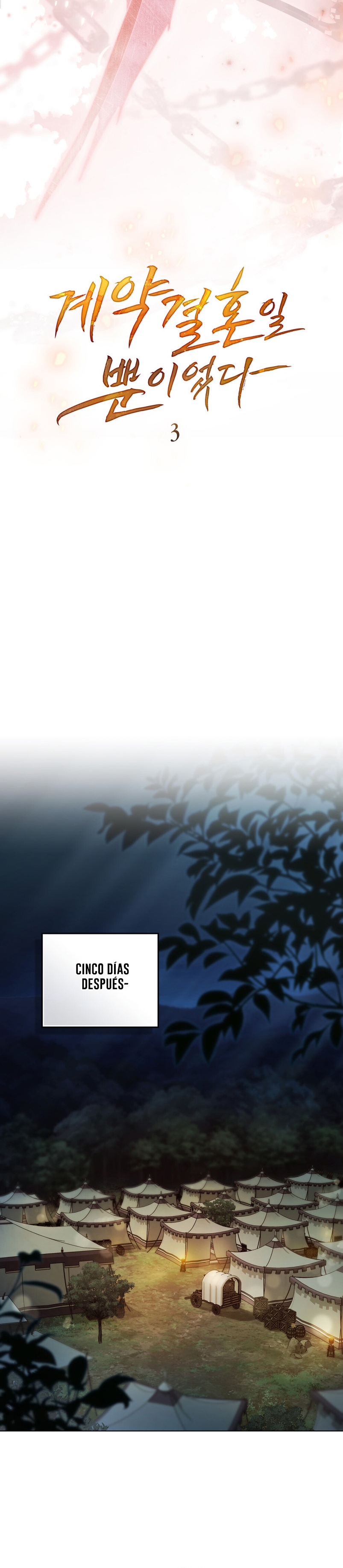 Fue solo un matrimonio por contrato Capítulo 3 - Página 18