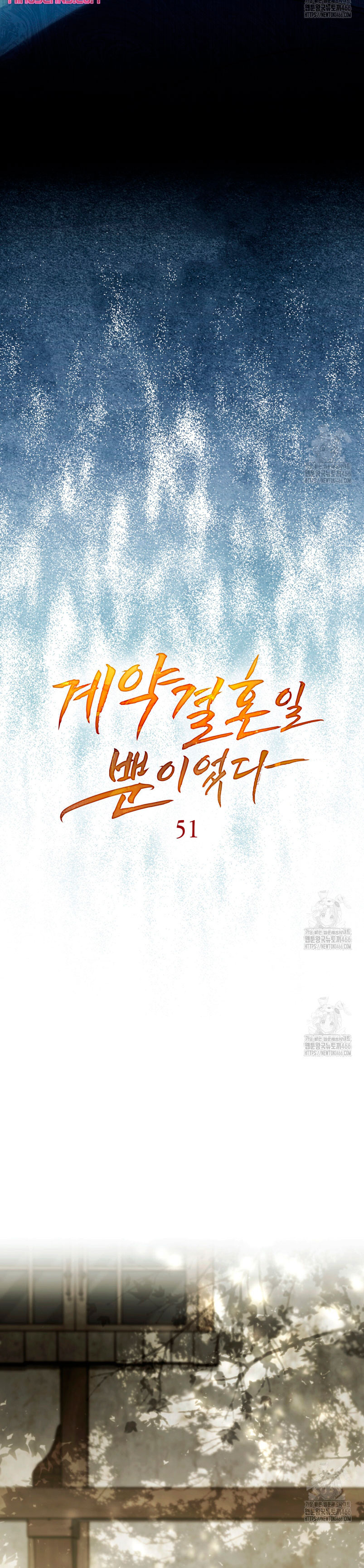 Fue solo un matrimonio por contrato Capítulo 51 - Página 13