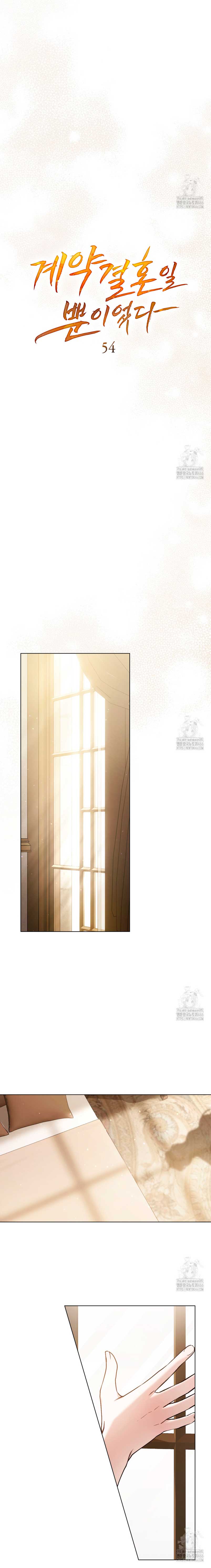 Fue solo un matrimonio por contrato Capítulo 54 - Página 10