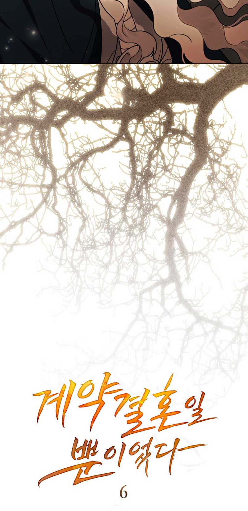 Fue solo un matrimonio por contrato Capítulo 6 - Página 8