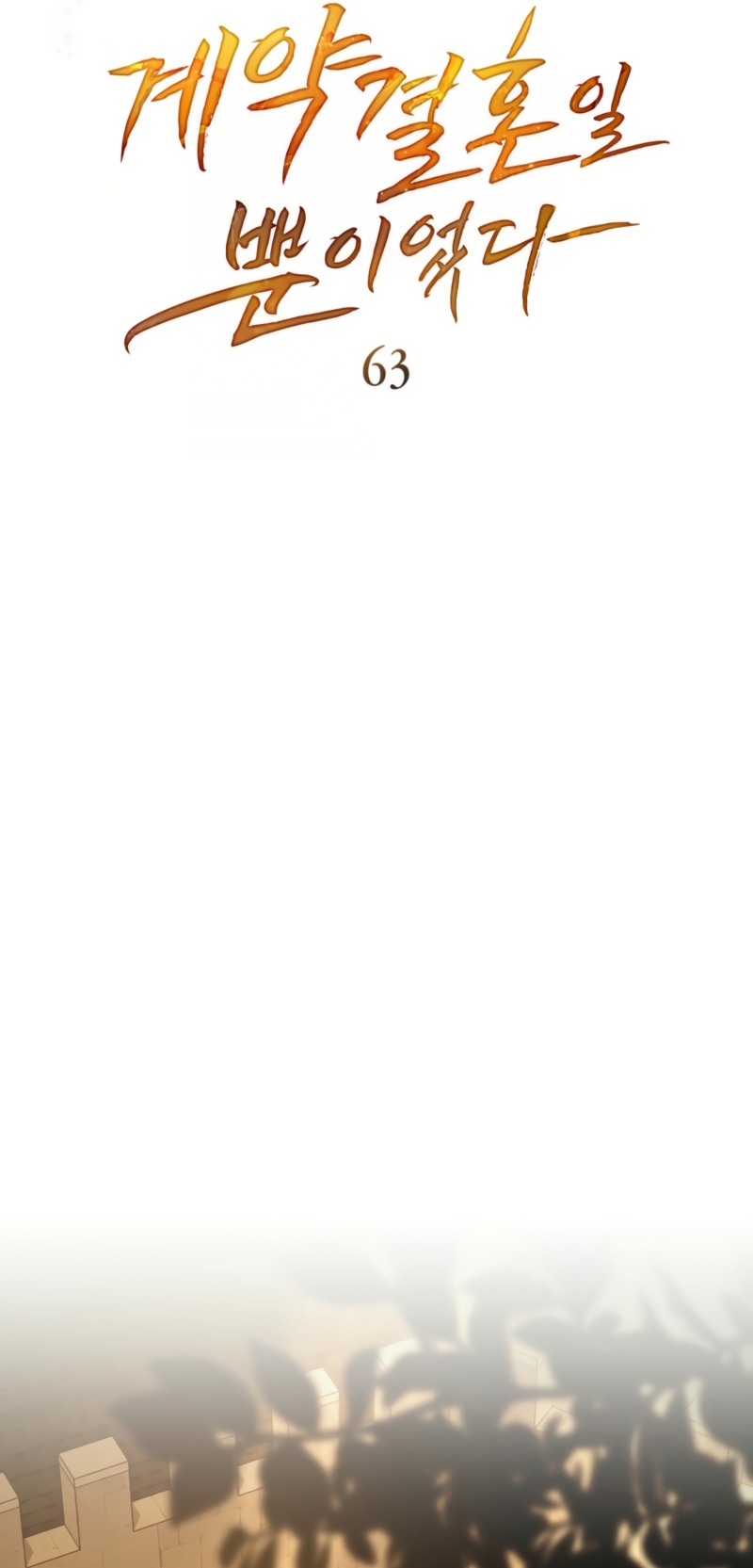 Fue solo un matrimonio por contrato Capítulo 63 - Página 6