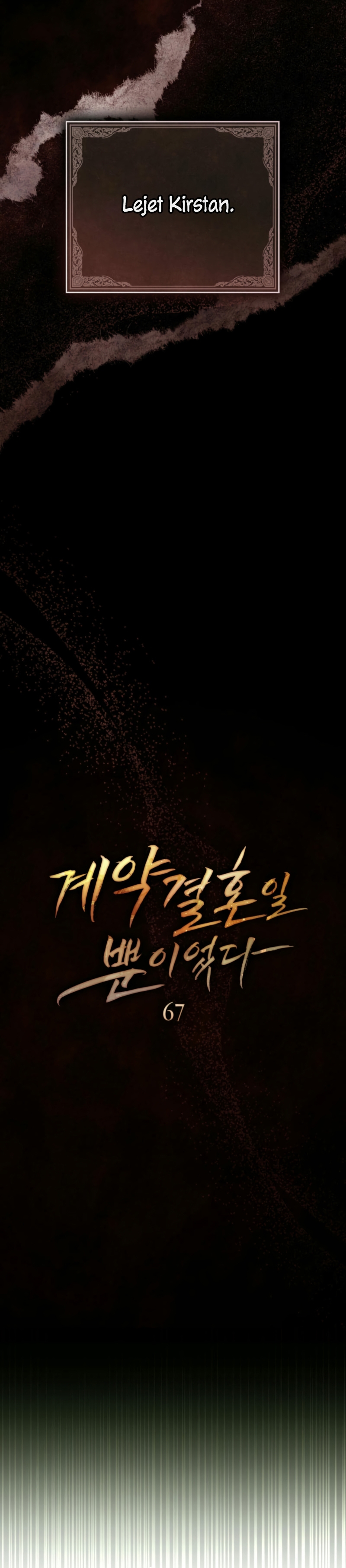 Fue solo un matrimonio por contrato Capítulo 67 - Página 11