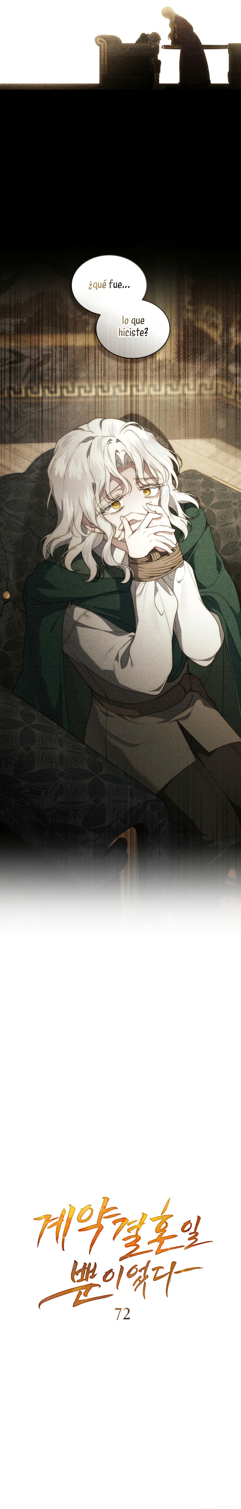 Fue solo un matrimonio por contrato Capítulo 72 - Página 12