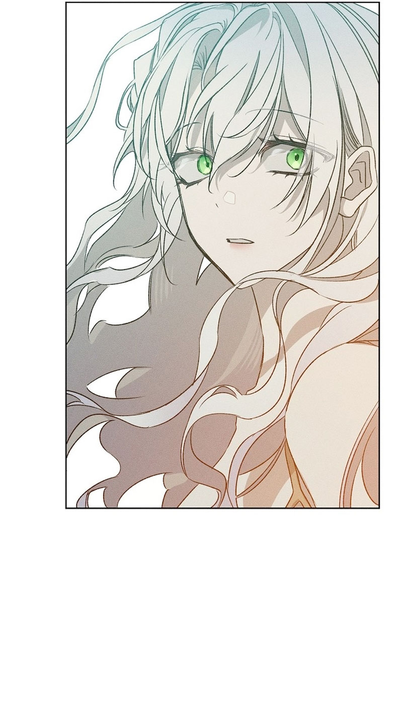 Mi marido, que me odiaba, perdió la memoria Capítulo 2 - Página 41