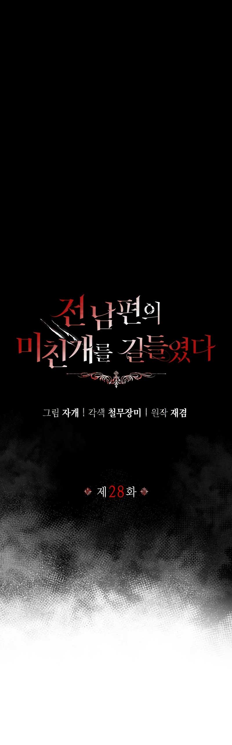 Domé al perro rabioso de mi ex marido Capítulo 28 - Página 11