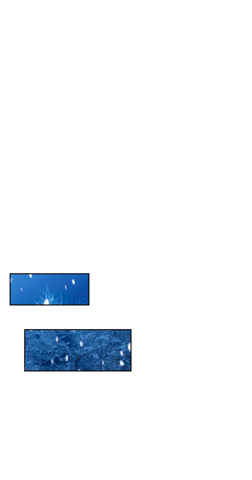 Domé al perro rabioso de mi ex marido Capítulo 3 - Página 68