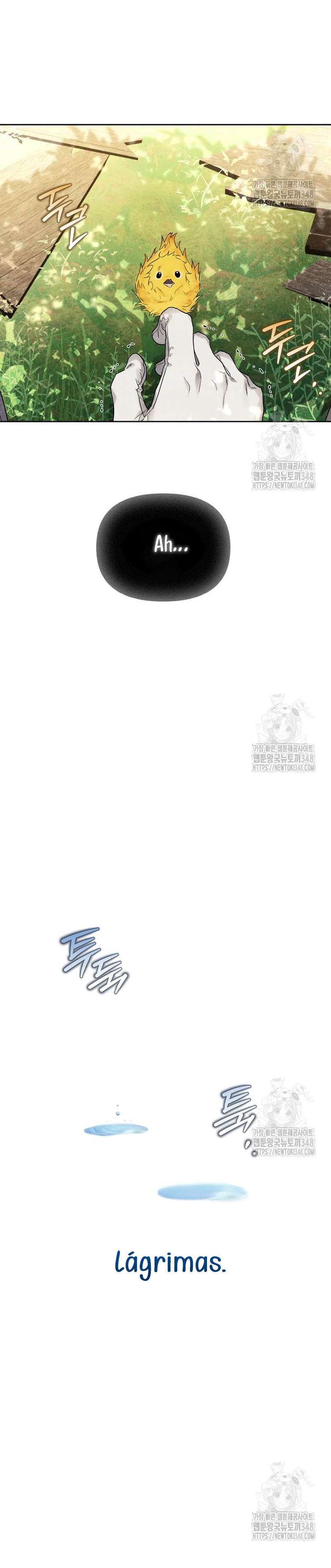 Domé al perro rabioso de mi ex marido Capítulo 89 - Página 10