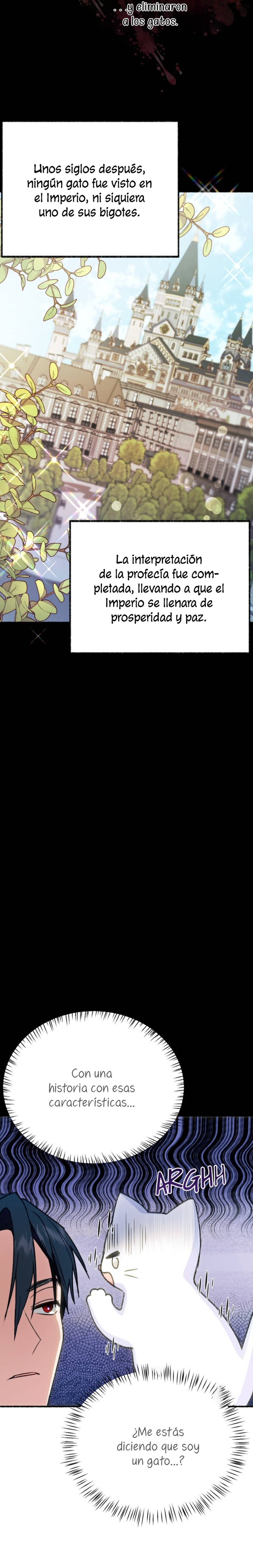 Me volví una gata que duerme con un tirano obsesivo todas las noches Capítulo 1 - Página 17