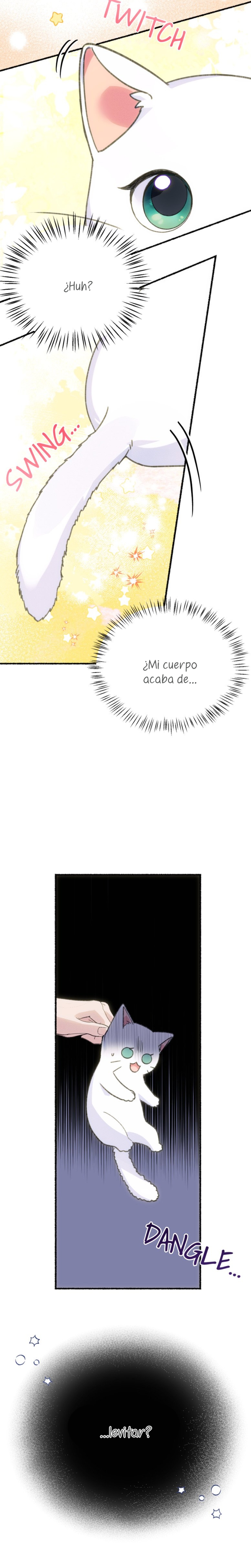 Me volví una gata que duerme con un tirano obsesivo todas las noches Capítulo 1 - Página 9