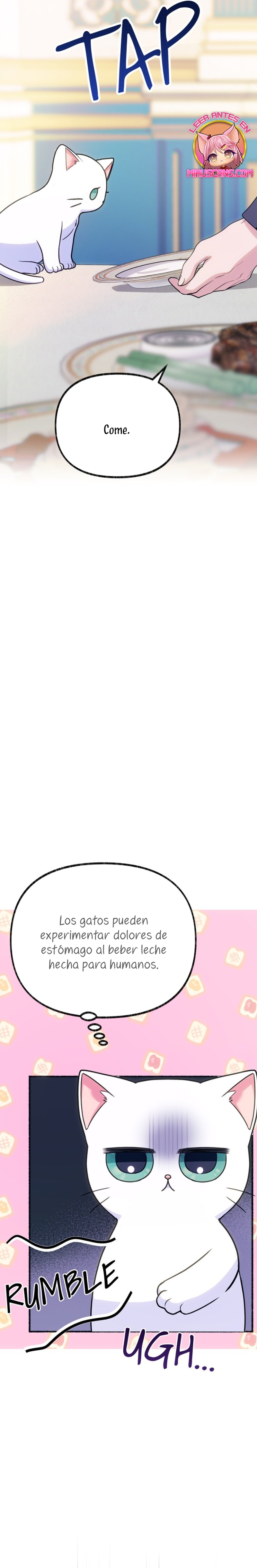 Me volví una gata que duerme con un tirano obsesivo todas las noches Capítulo 2 - Página 12