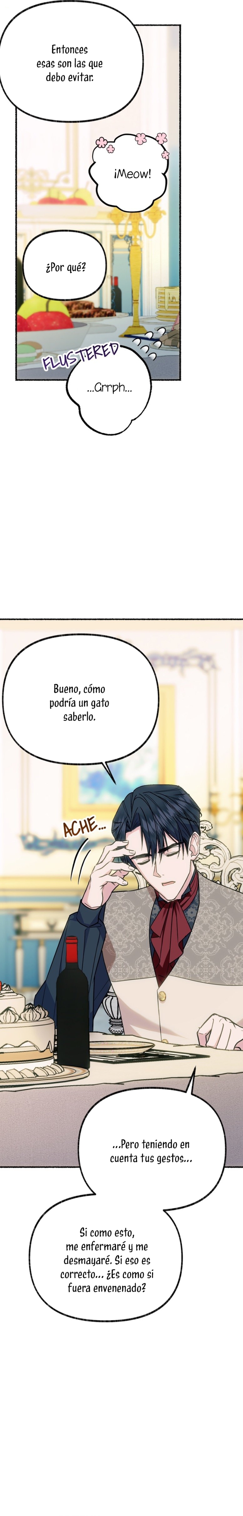 Me volví una gata que duerme con un tirano obsesivo todas las noches Capítulo 3 - Página 13