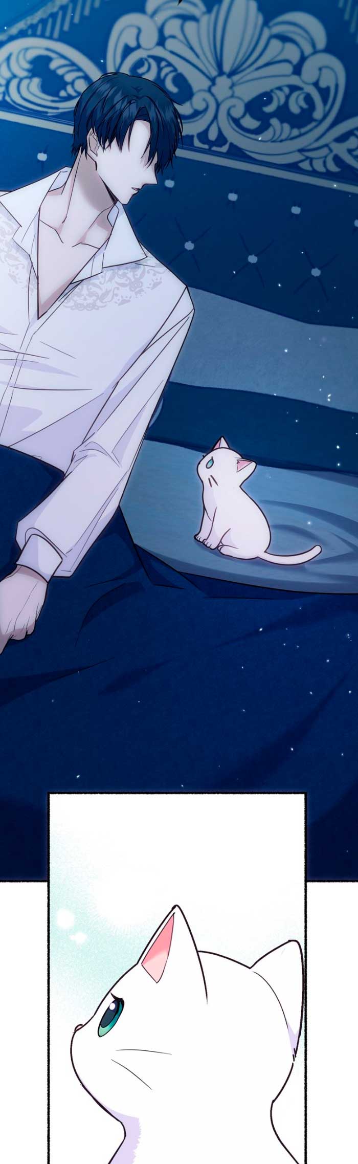 Me volví una gata que duerme con un tirano obsesivo todas las noches Capítulo 4 - Página 37