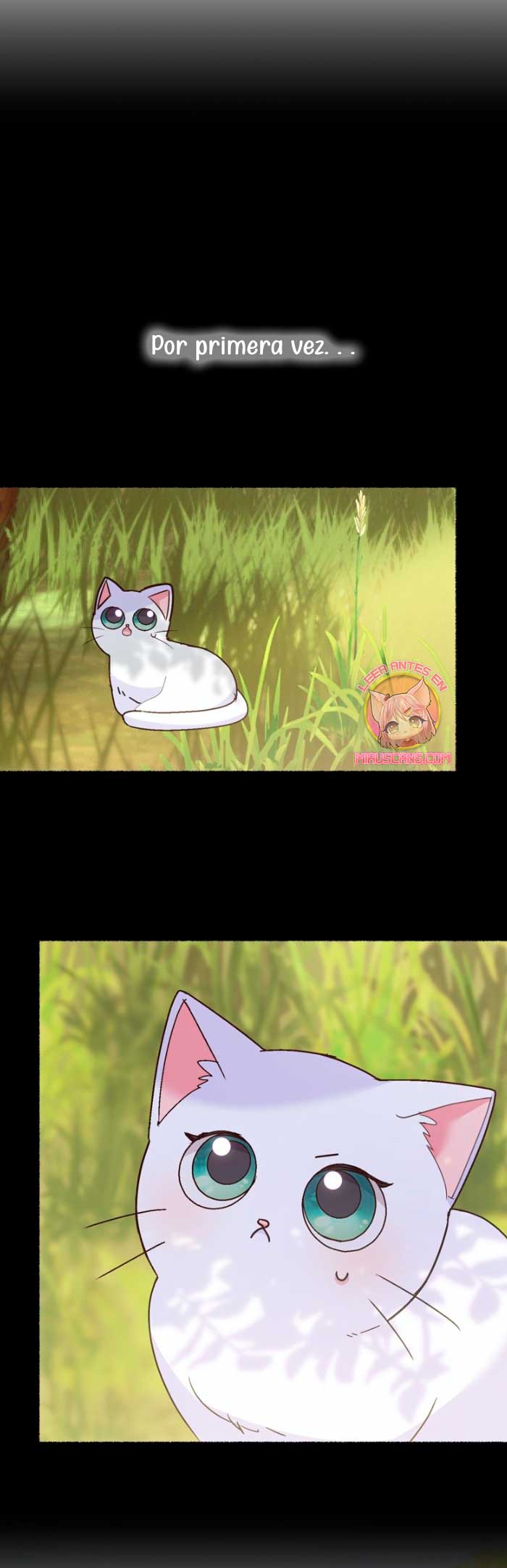 Me volví una gata que duerme con un tirano obsesivo todas las noches Capítulo 4 - Página 9