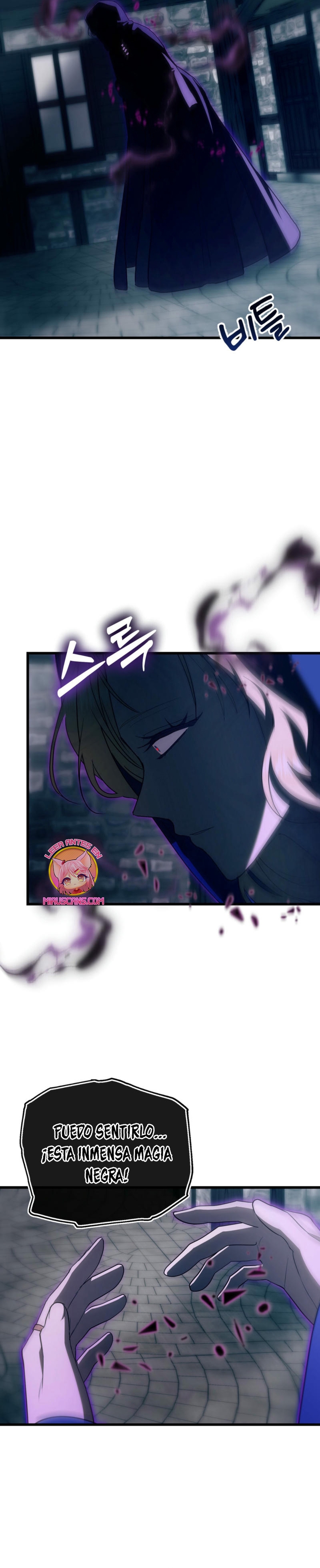 Me volví una gata que duerme con un tirano obsesivo todas las noches Capítulo 66 - Página 26