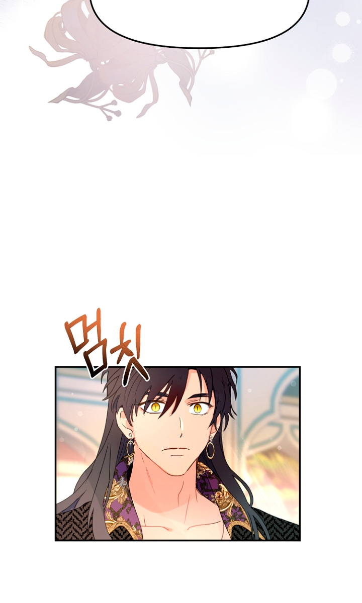 Terminé con mi esposo, ahora iré a hacer dinero Capítulo 12 - Página 13