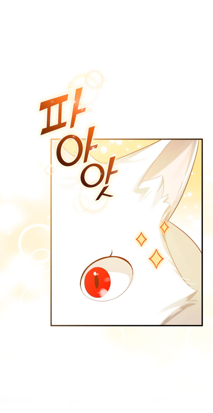 Me convertí en la hermana menor de un protagonista obsesivo Capítulo 11 - Página 81