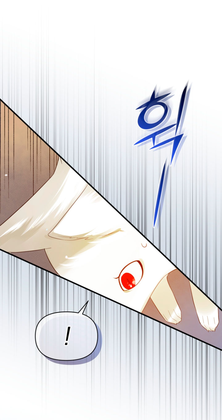 Me convertí en la hermana menor de un protagonista obsesivo Capítulo 12 - Página 11