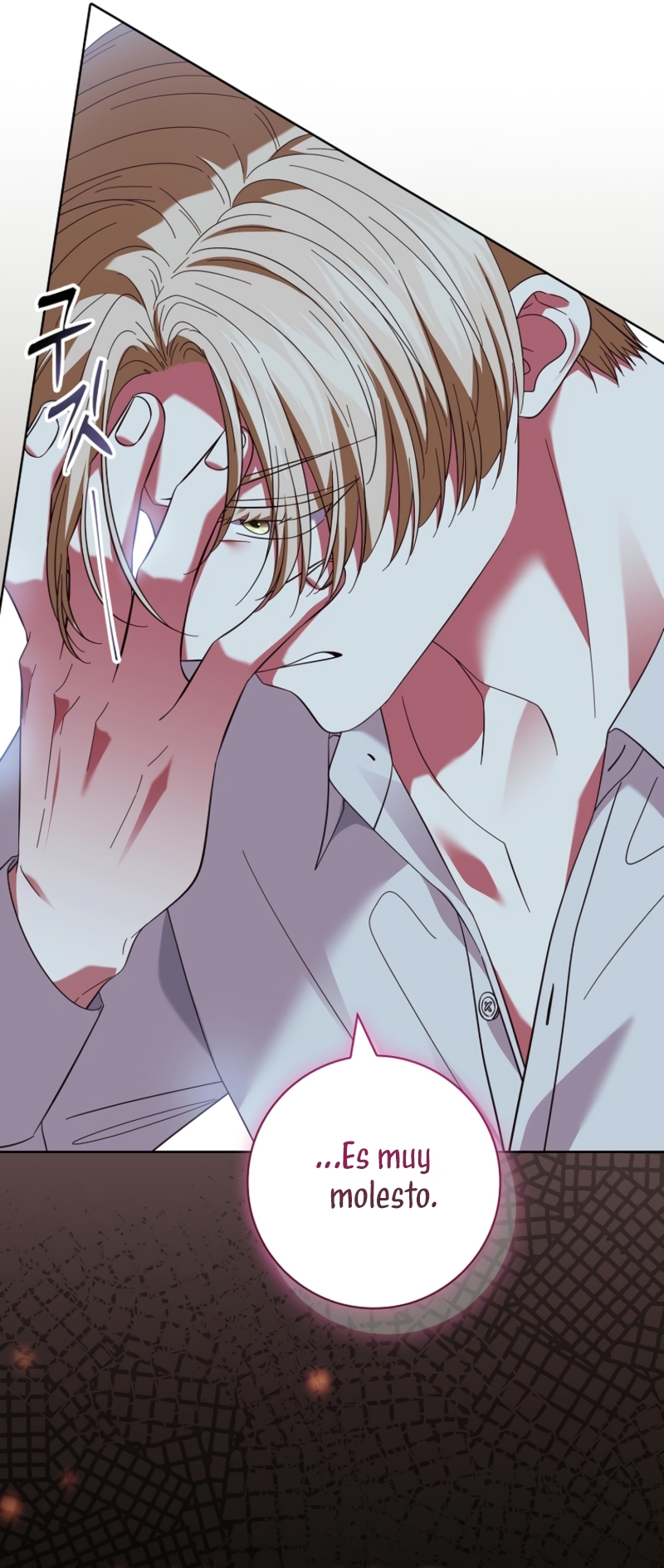 Dejen su divorcio en manos de una abogada profesional Capítulo 47 - Página 11