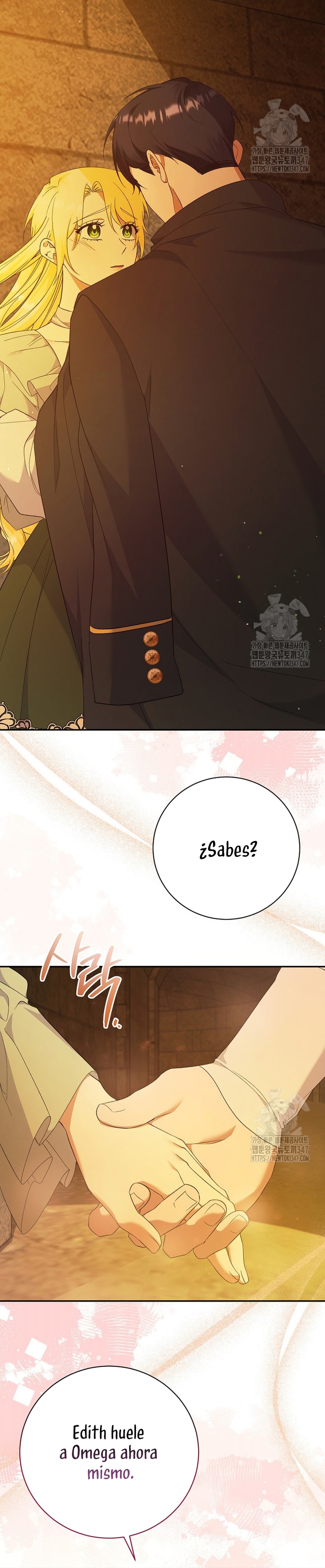 Me convertí en la sirvienta del obsesionado Príncipe Heredero Capítulo 36 - Página 27