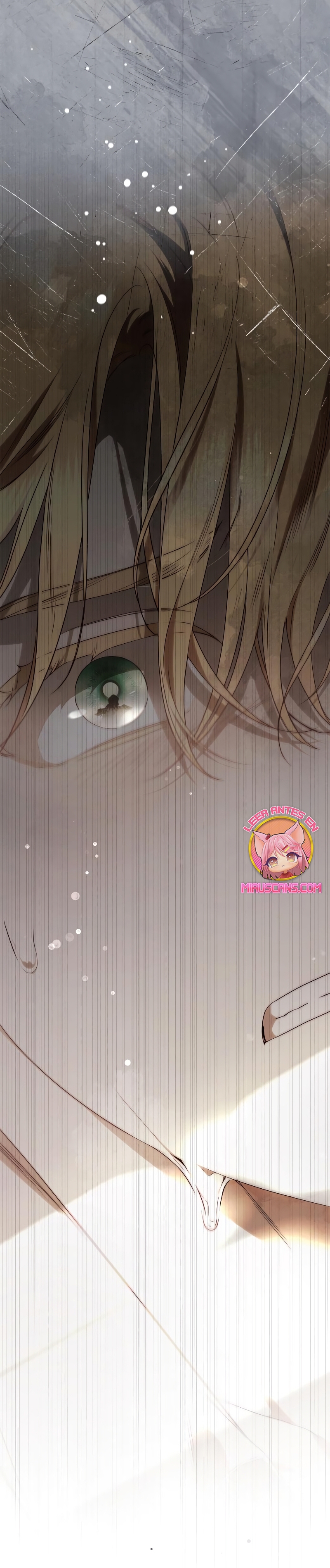 La doncella secreta del conde Capítulo 12 - Página 37