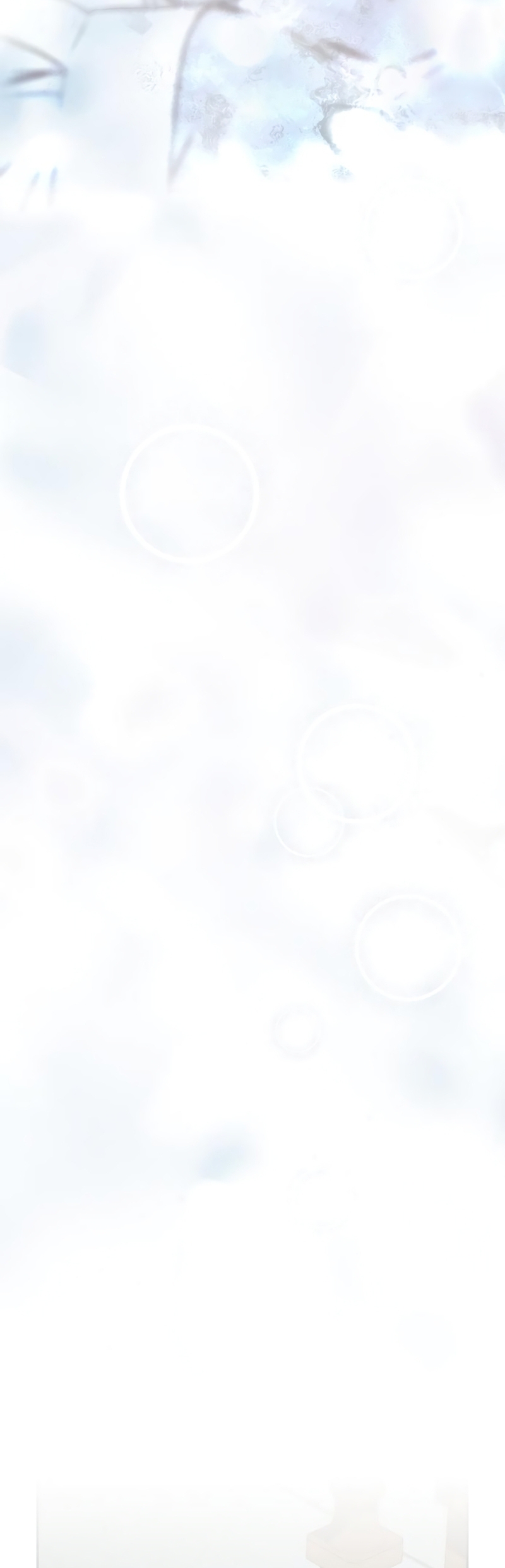 La doncella secreta del conde Capítulo 12 - Página 47