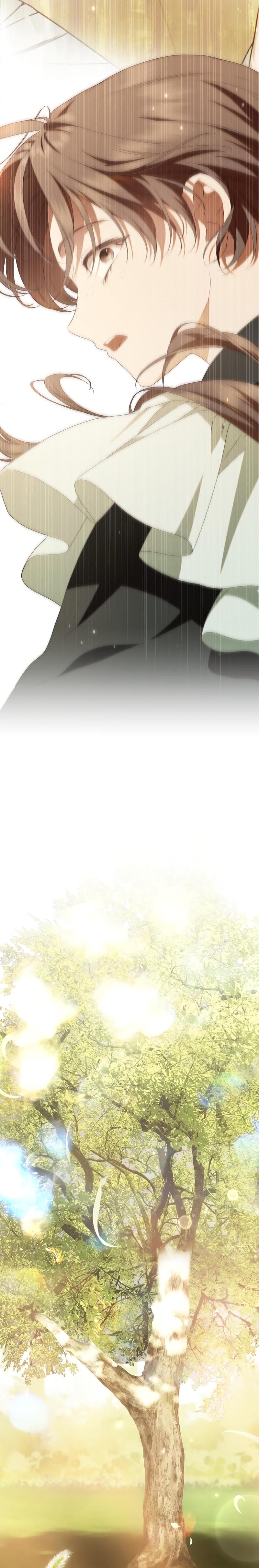 La doncella secreta del conde Capítulo 17 - Página 25