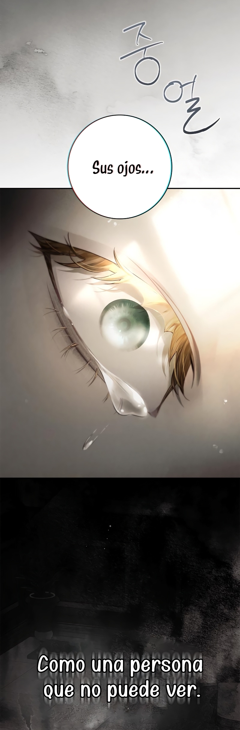 La doncella secreta del conde Capítulo 2 - Página 16