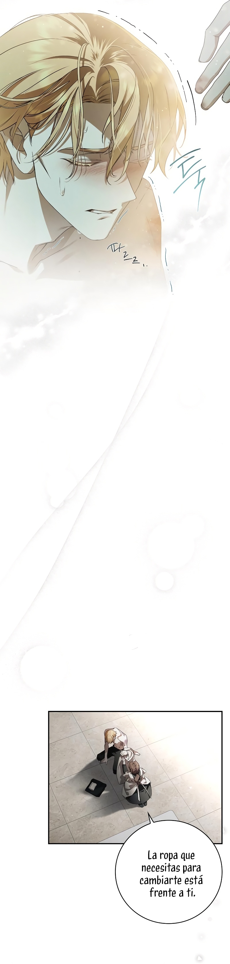 La doncella secreta del conde Capítulo 3 - Página 27