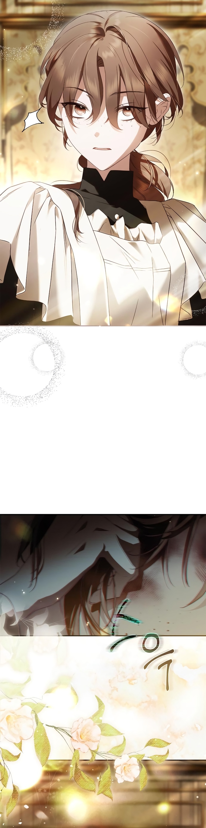 La doncella secreta del conde Capítulo 8 - Página 17