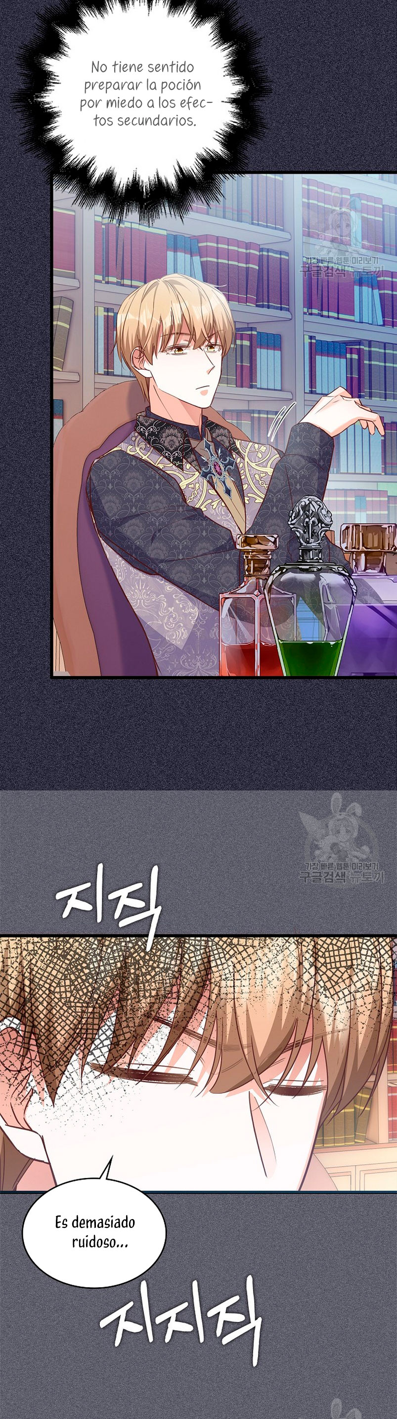 ¡Te estás obsesionando con la cosa equivocada, Señor de la Torre de los Magos! Capítulo 27 - Página 13