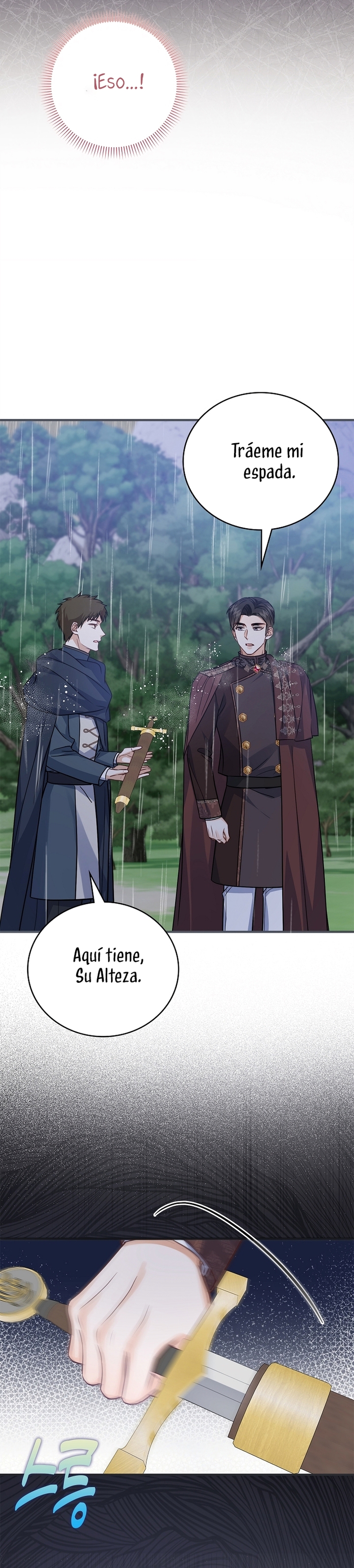 ¡Te estás obsesionando con la cosa equivocada, Señor de la Torre de los Magos! Capítulo 81 - Página 12