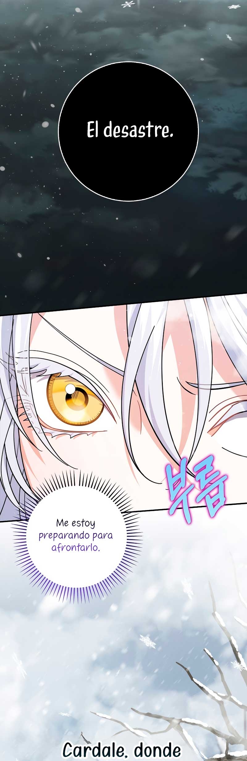 Mi prometido villano se está interponiendo en mi camino de flores Capítulo 47 - Página 11