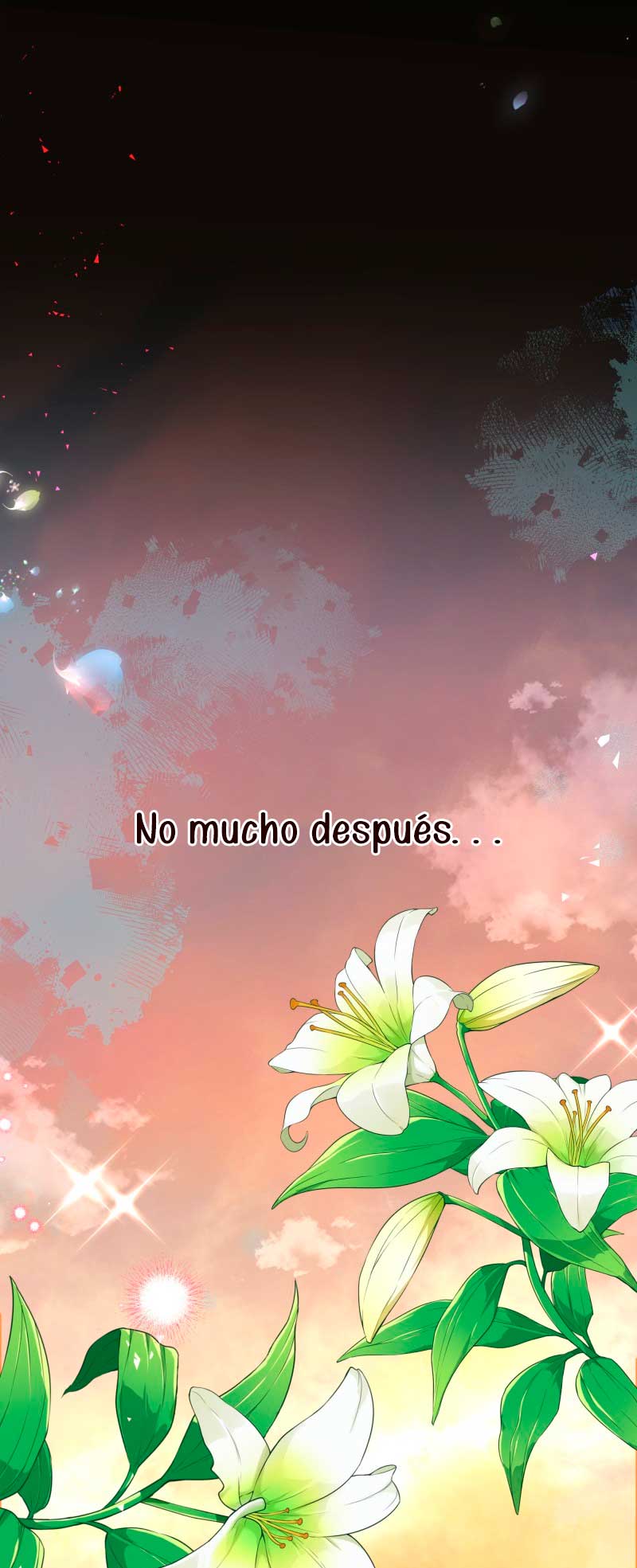 Desaparece Romeo Capítulo 1 - Página 22